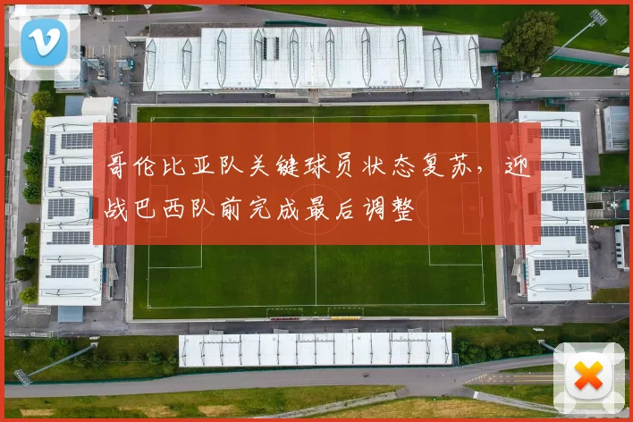 哥伦比亚队关键球员状态复苏，迎战巴西队前完成最后调整