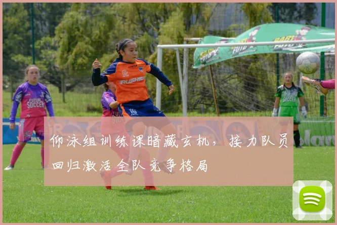 仰泳组训练课暗藏玄机，接力队员回归激活全队竞争格局 - 500彩票网