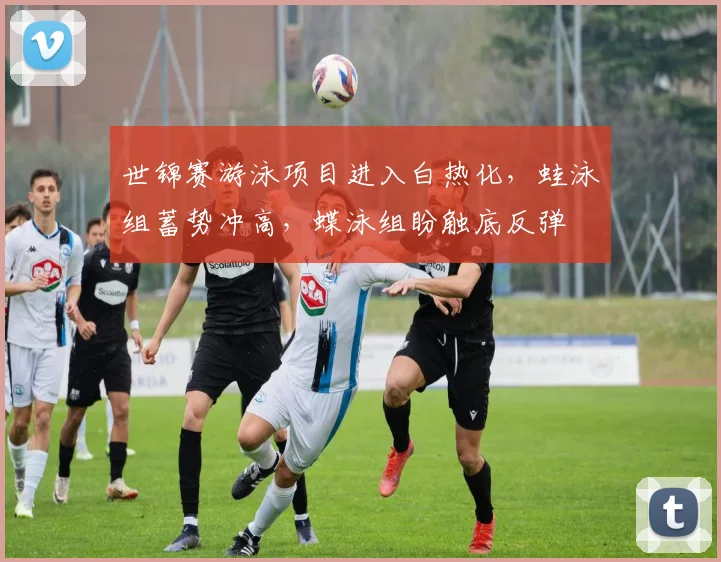 世锦赛游泳项目进入白热化，蛙泳组蓄势冲高，蝶泳组盼触底反弹