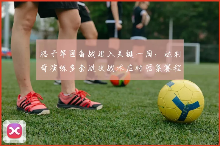 格子军团备战进入关键一周，达利奇演练多套进攻战术应对密集赛程